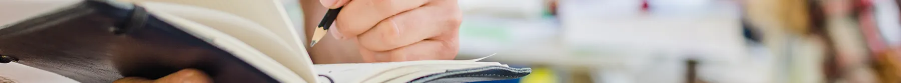 Programa de millora i innovació de la formació inical docent