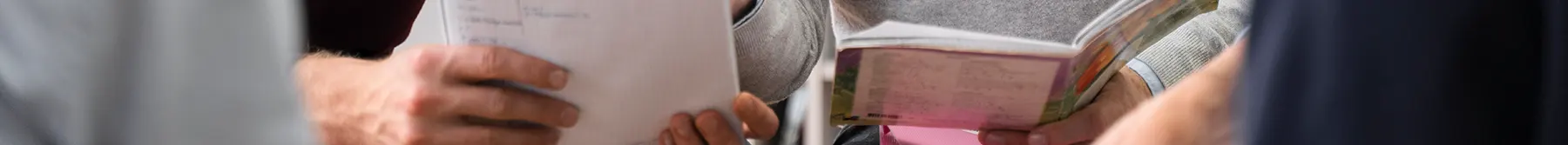 Programa de millora i innovació de la formació inical docent