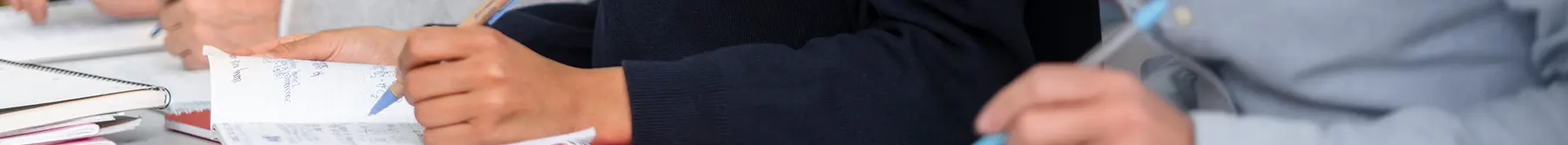 Programa de millora i innovació de la formació inical docent